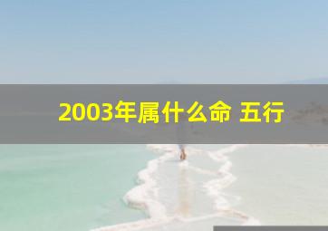 2003年属什么命 五行